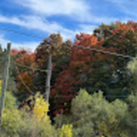 Meet your Posher, Afrah - Picture 1 of 1